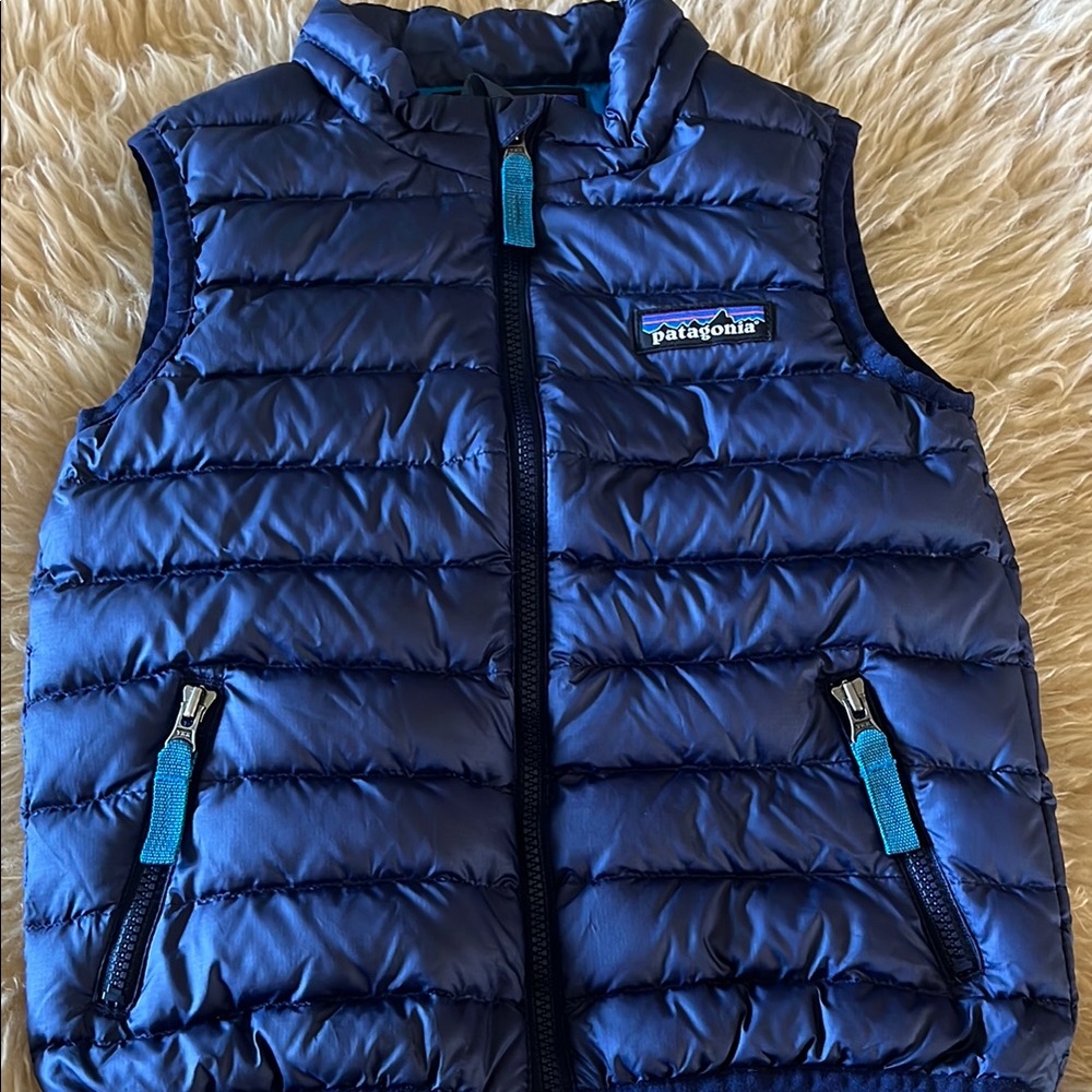 Patagonia Blue Puffer Vest